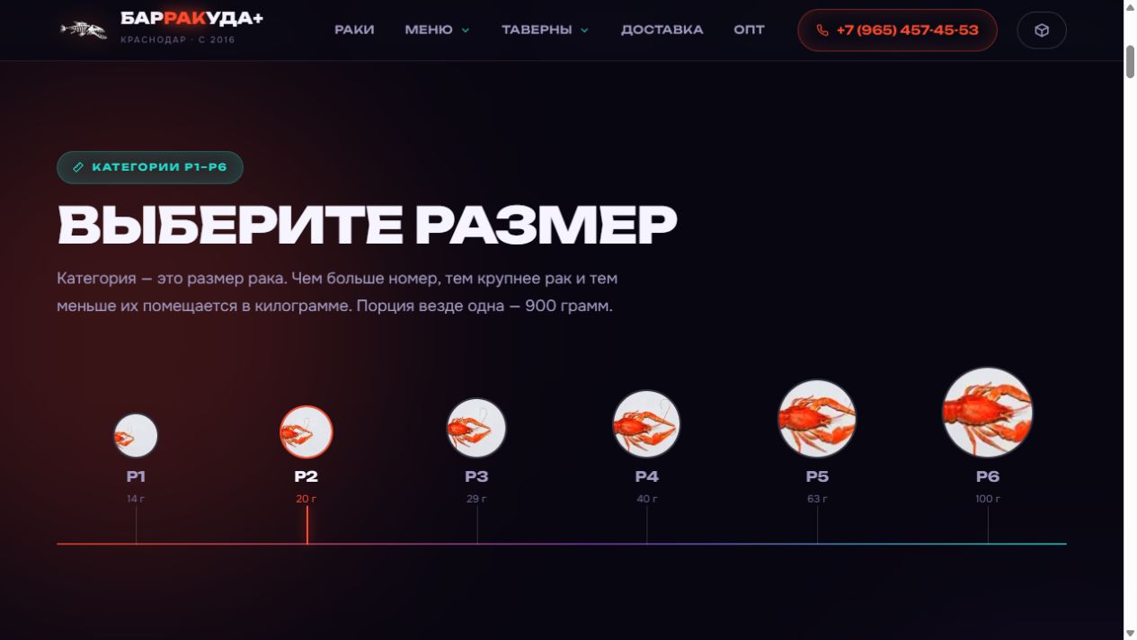 Подбор размера и количества — Барракуда+